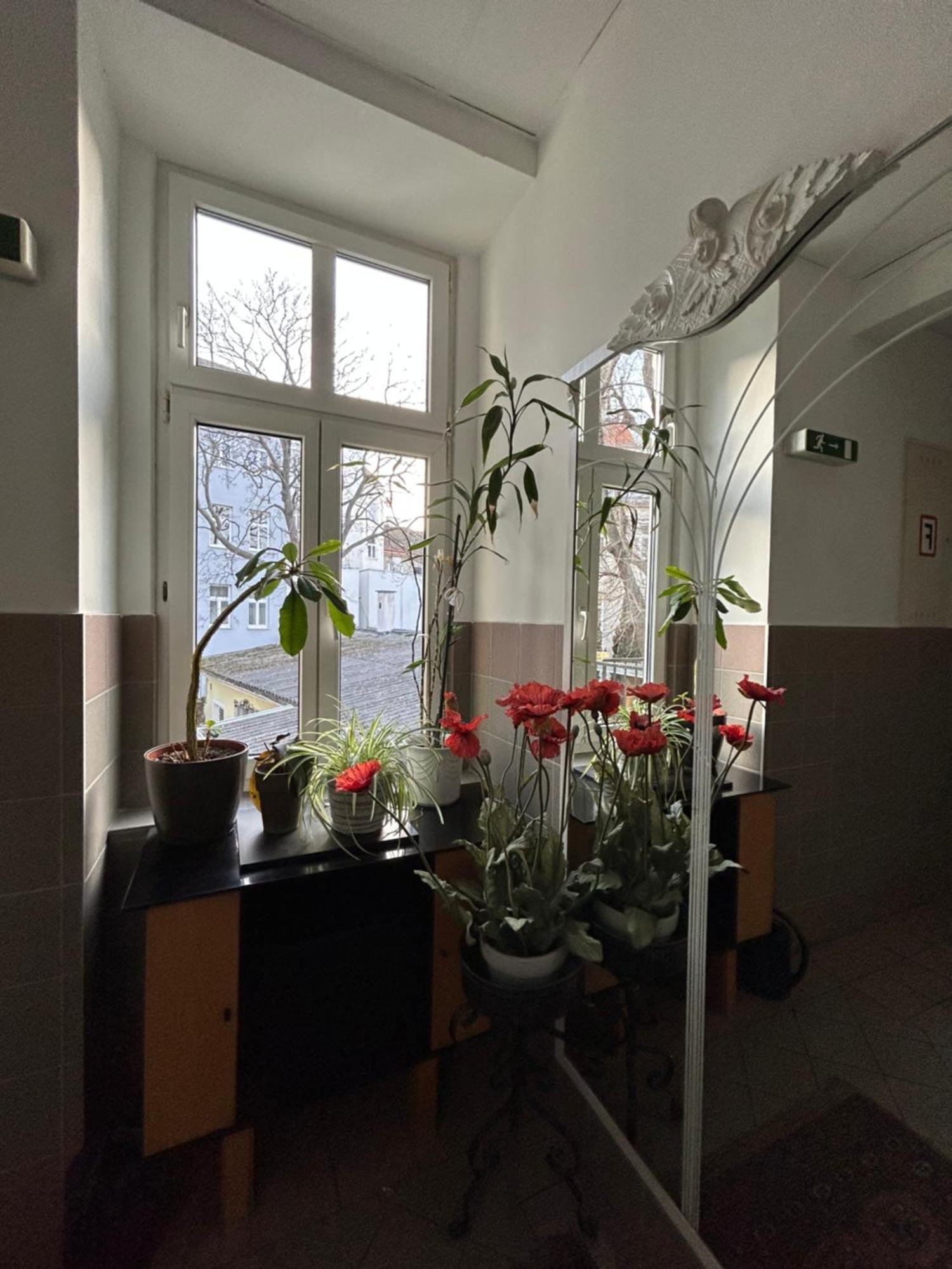 וינה Reiner Apartment מראה חיצוני תמונה